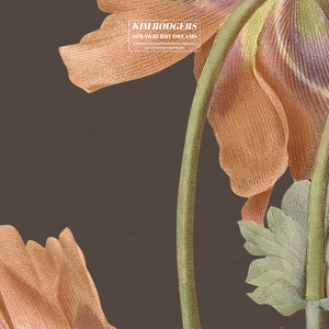 国产femdom调教6582视频
